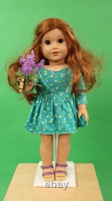 American Girl Blaire Wilson 2019 Doll of the Year + Books & Accessories