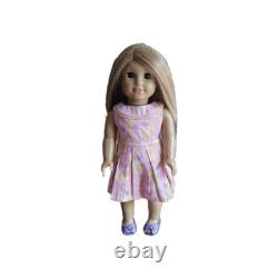 American Girl Doll 2011 Honey Blonde Hair Brown Eyes Tan Skin Case Accessories