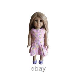 American Girl Doll 2011 Honey Blonde Hair Brown Eyes Tan Skin Case Accessories