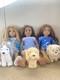 American Girl Dolls (3) American Girl Dogs (3) NEW CONDITION AND ACCESSORIES
