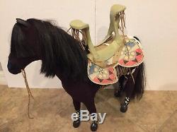 American Girl Kaya Collection-Doll, Horse With Saddle, Tatlo Dog, Beforever Book