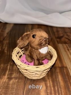 American girl doll lot