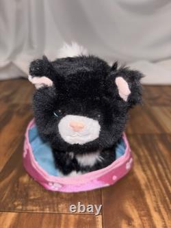 American girl doll lot