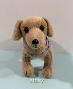 Guc American Girl Doll Kailey 2003 Doll Of The Year & Accessories Retired