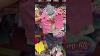 Mylife As 18 Doll Sized Outfits And Accessories For American Girl Dolls At Walmart Shorts Dolls
