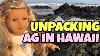 Unpacking American Girl Doll In Hawaii
