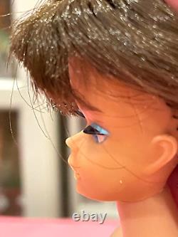 Vintage American Girl Brunette Barbie Gorgeous